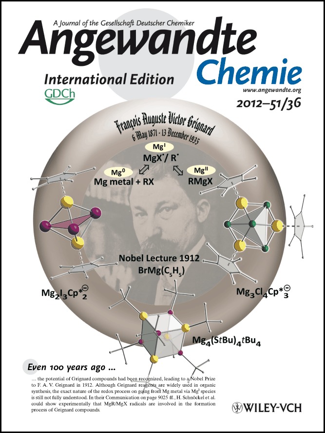 Cover Picture Angewandte Chemie 2013