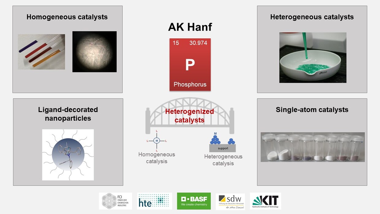 Research AK Hanf