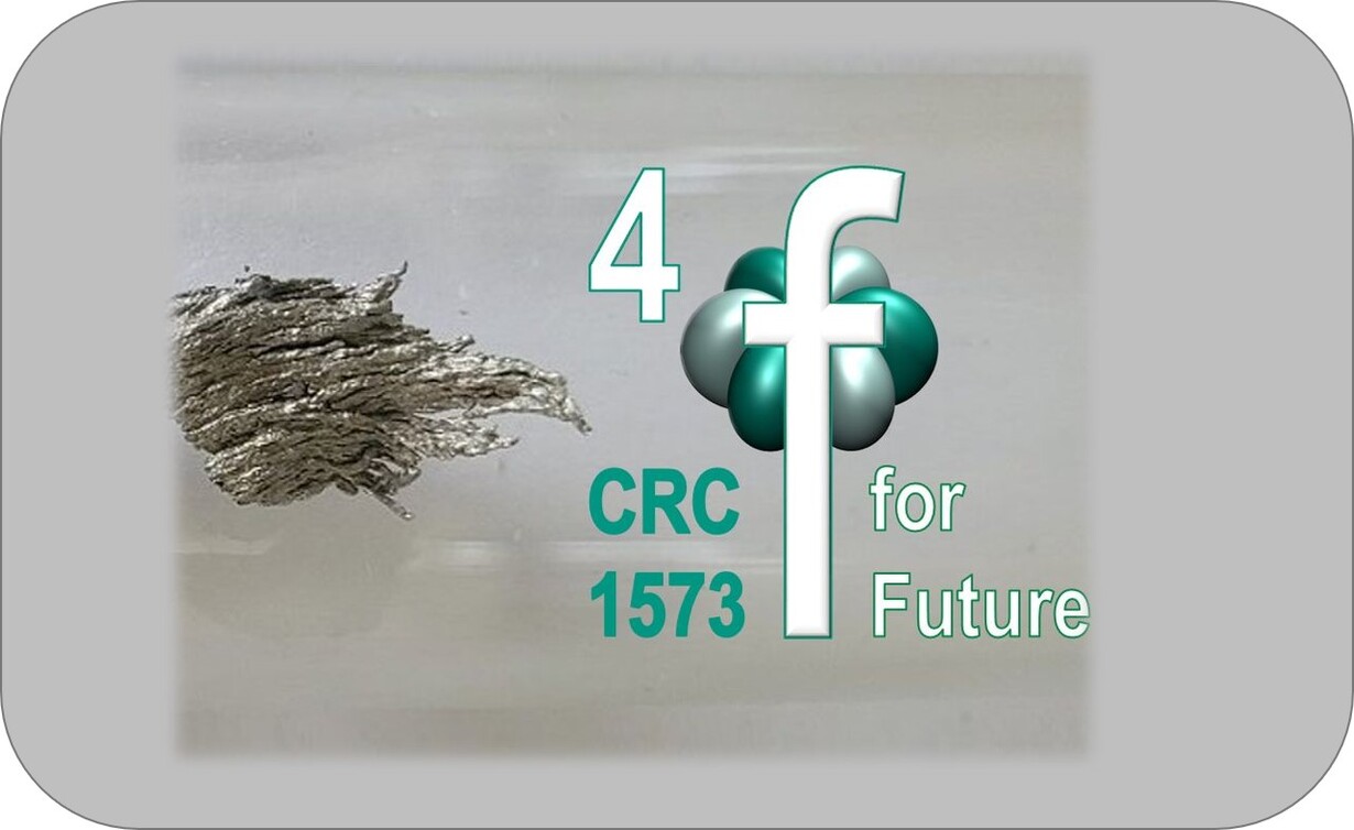 Bild des SFB-Logos 4f for Future